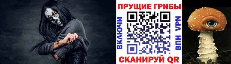 Галлюциногенные грибы прущие грибы  Купить  Бодайбо 